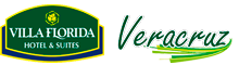 VF Veracruz Logo